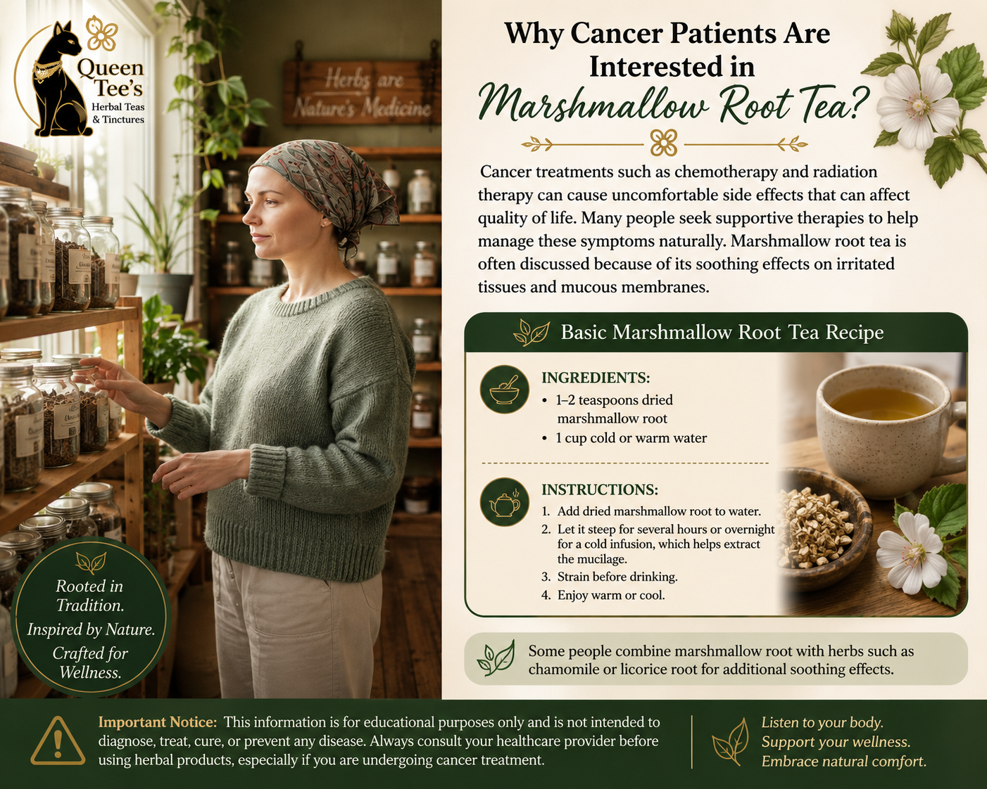 Marshmallow Root Tea and Cancer
