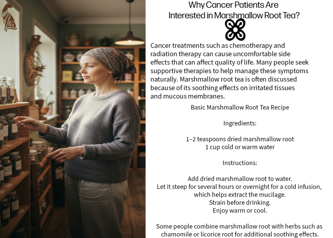 Marshmallow Root Tea and Cancer