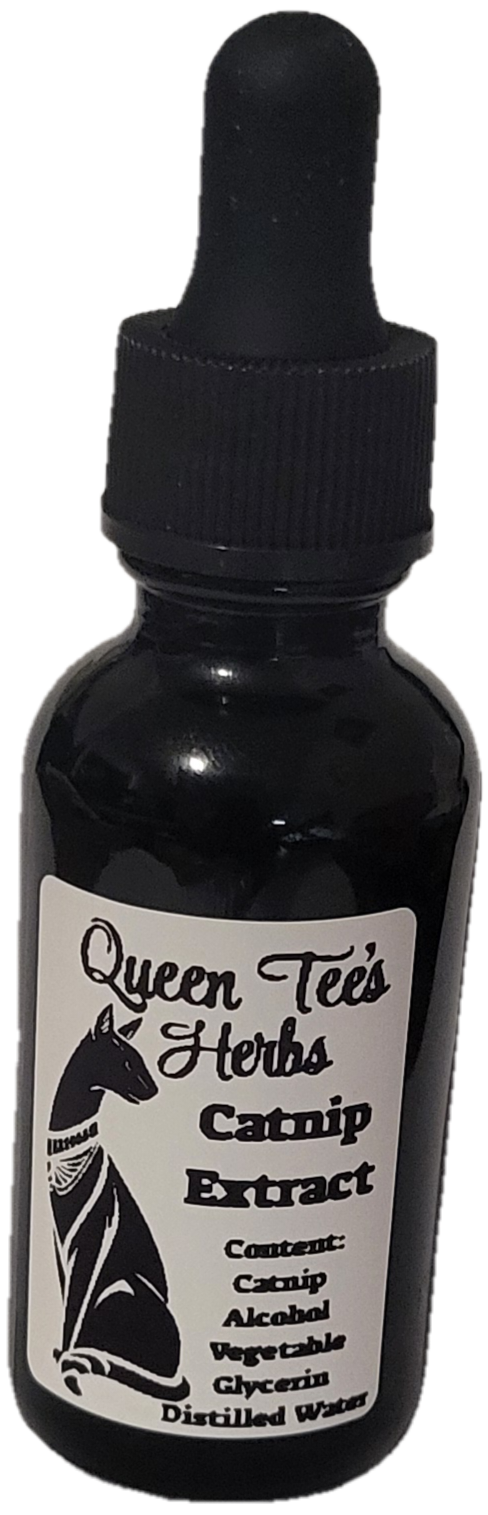 Queen Tee's Premium Catnip Extract Tincture (Nepeta cataria)