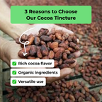 Queen Tee's Premium Cocoa Tincture bottle with label showing Theobroma cacao, herbal tincture for wellness, dark glass container.