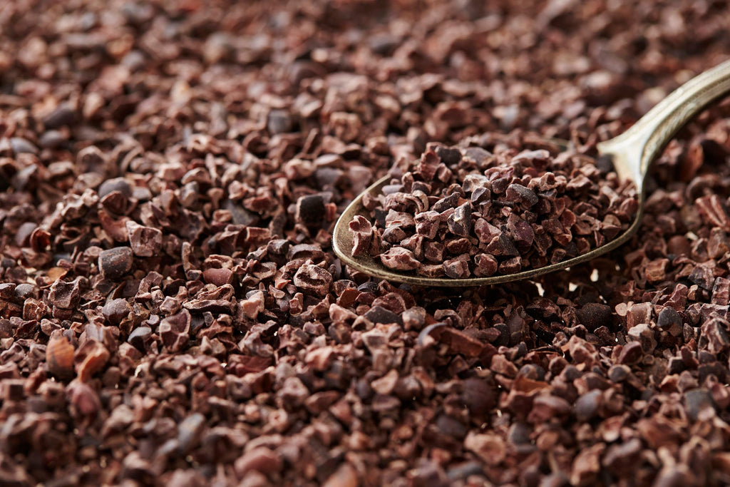 Queen Tee's Premium Cocoa Tincture (Theobroma cacao)