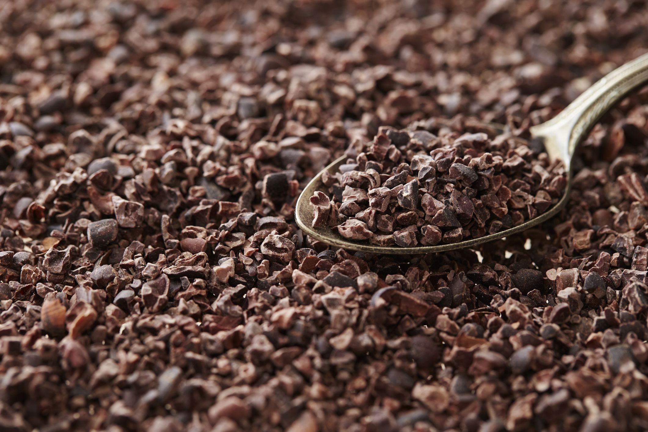 Queen Tee's Premium Cocoa Tincture (Theobroma cacao)