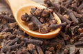 Queen Tee’s Premium Clove Tincture bottle with dropper cap, herbal tincture for wellness, displayed against a neutral background.