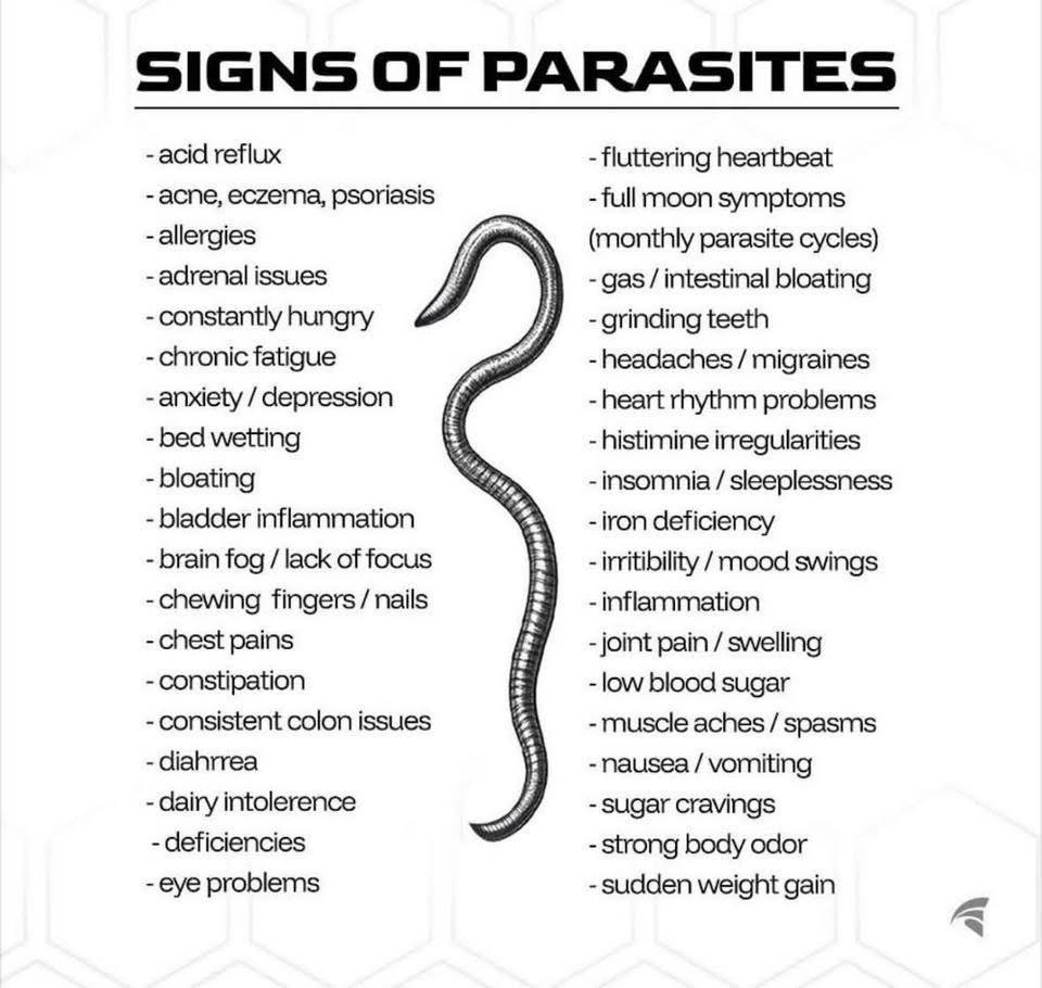 Queen Tee's Premium Wormwood Parasite Cleanser Tincture