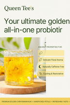 Queen Tee's loose Golden Chrysanthemum Blooming Tea in a clear glass container, showcasing the blooming chrysanthemum flower.
