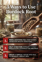Queen Tee's Premium Burdock Root Cut &amp; Sifted (Arctium lappa)