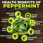 Queen Tee's Premium Peppermint Loose Leaf Herbal Tea in a clear jar, showcasing vibrant green peppermint leaves.