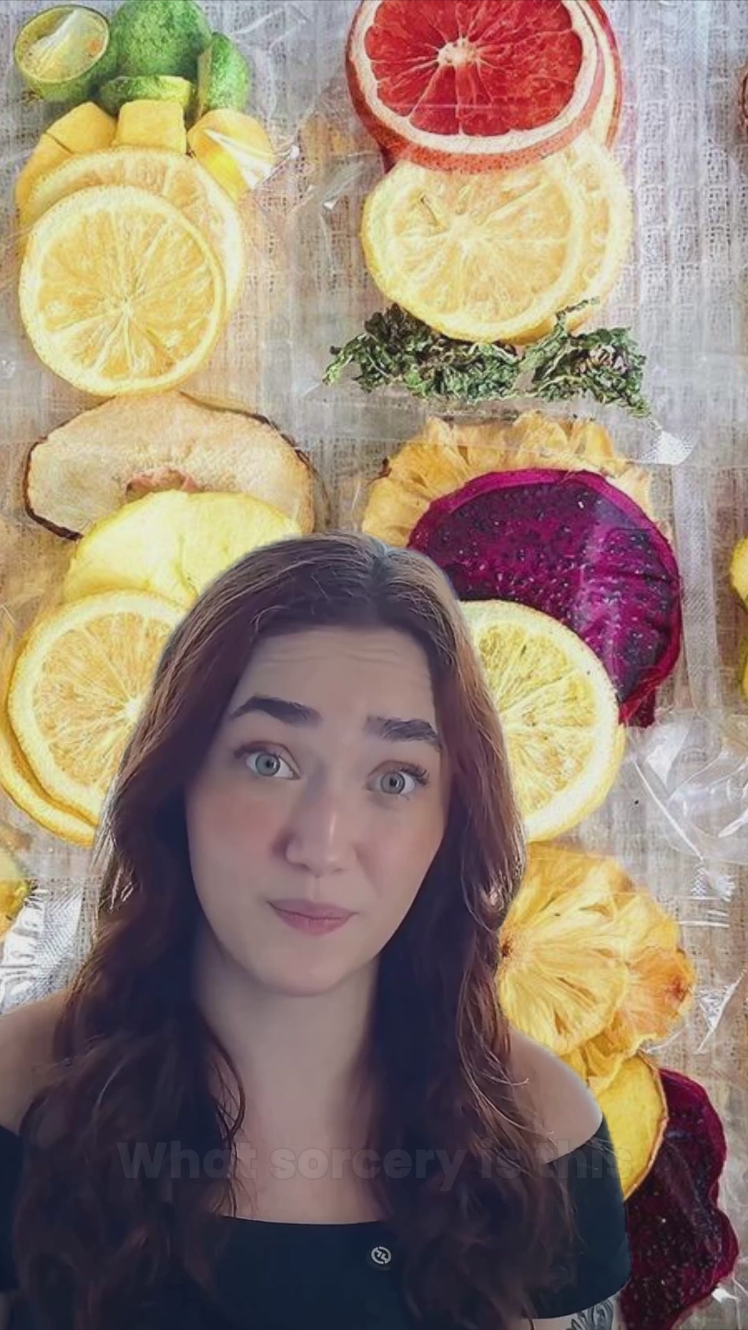 Queen Tee's Premium Freeze-Dried Fruit Tea Slices Packages