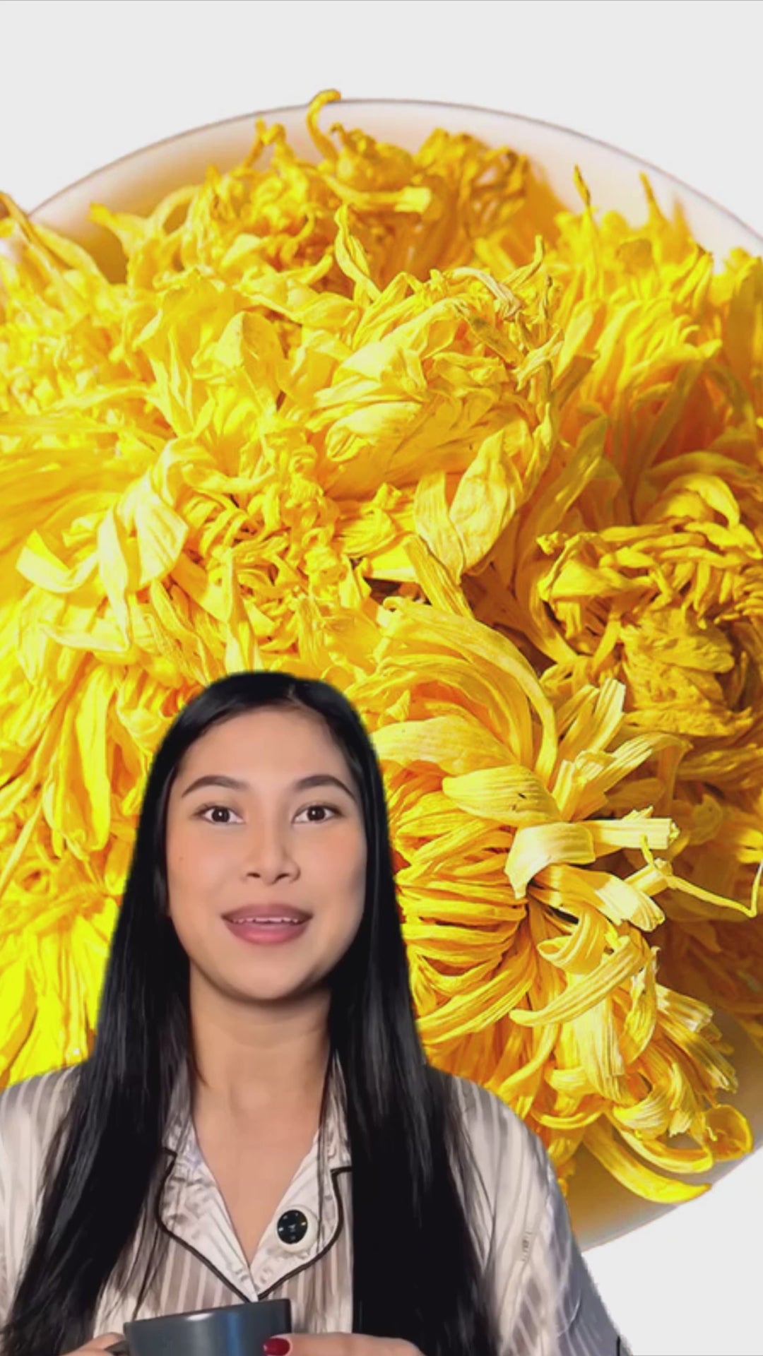 Queen Tee's Premium Golden Chrysanthemum Blooming Tea