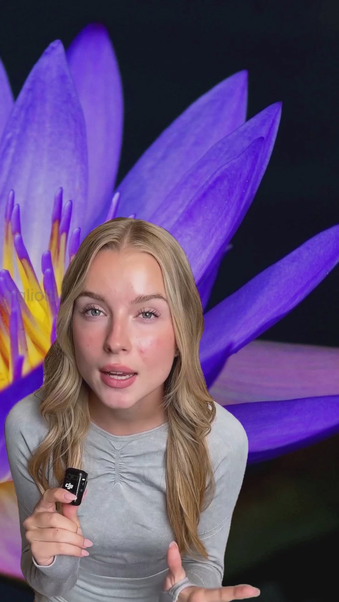 Queen Tee's Premium Blue Lotus Broken Flower Herb (Nymphaea caerulea)